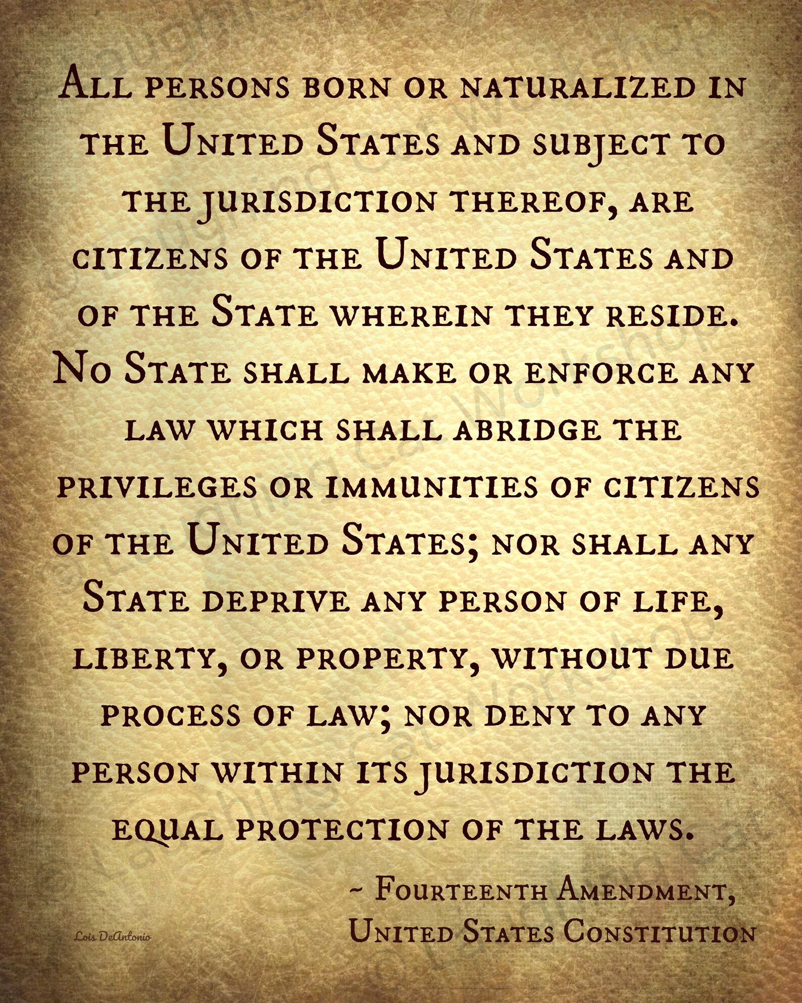 Fourteenth 14th Amendment United States Constitution Lawyer Attorney 