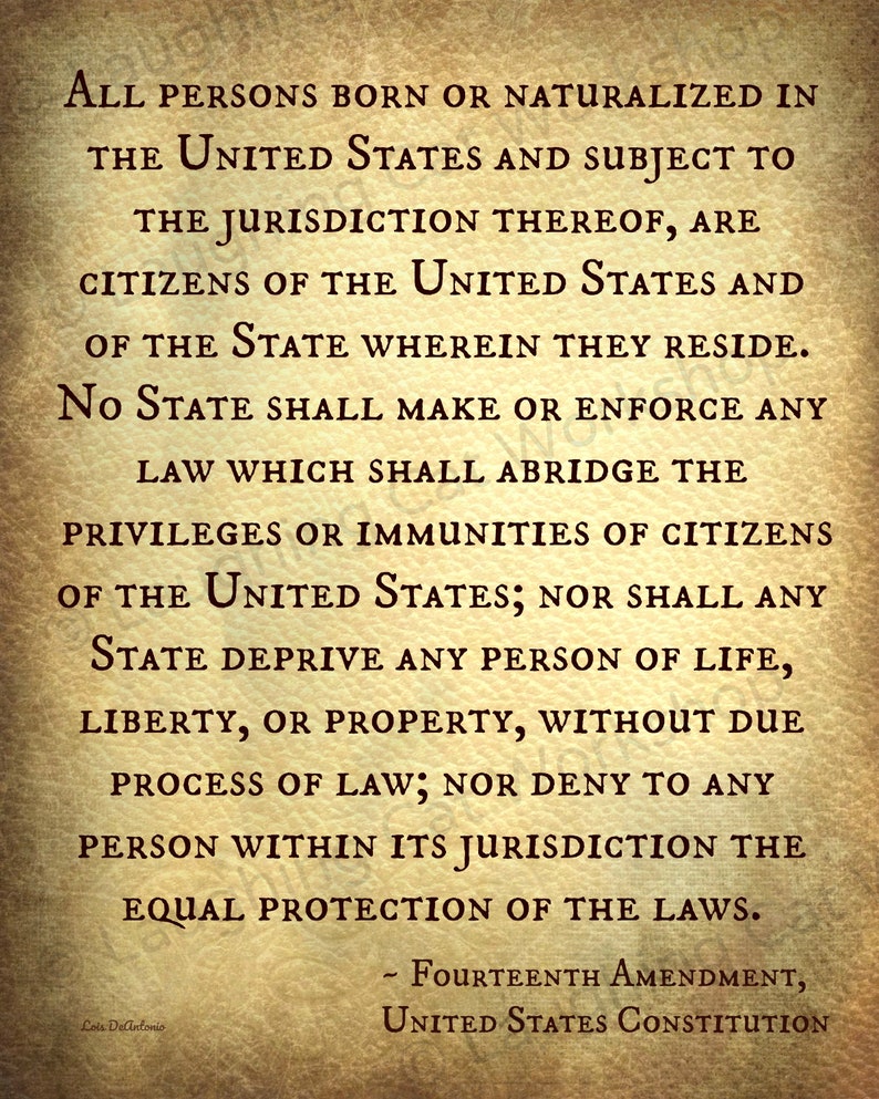 Fourteenth 14th Amendment United States Constitution Lawyer Attorney art Life Liberty Property History poster Back to School Civil Right art image 1