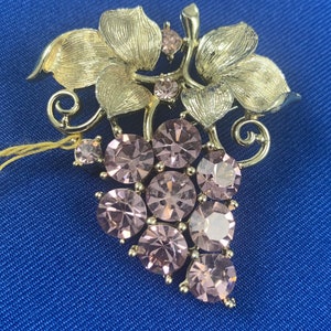 May include: A gold-tone brooch in the shape of a grapevine with pink rhinestones. The brooch features a cluster of grapes with leaves.