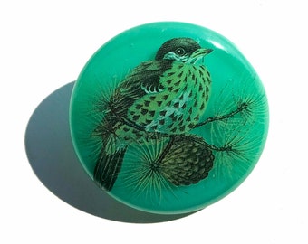 Turquoise green fused glass badge with thrush and pine branch design.