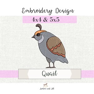 Quail Machine Embroidery Design: Kids Learning Project (PES, DST, EXP)