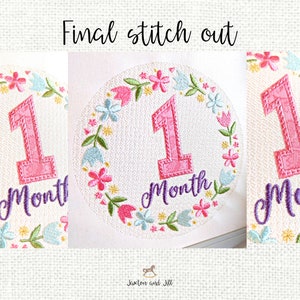 Baby Milestone Embroidery Design: Monthly Number Marker (digital ...