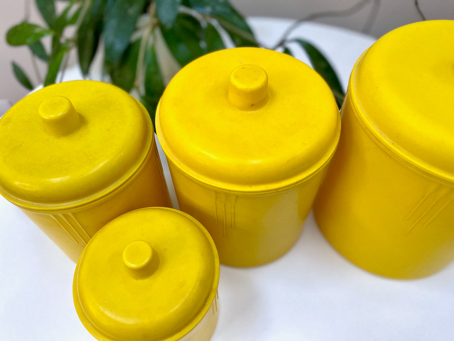 Eon Canisters Australia canister set x4 Etsy