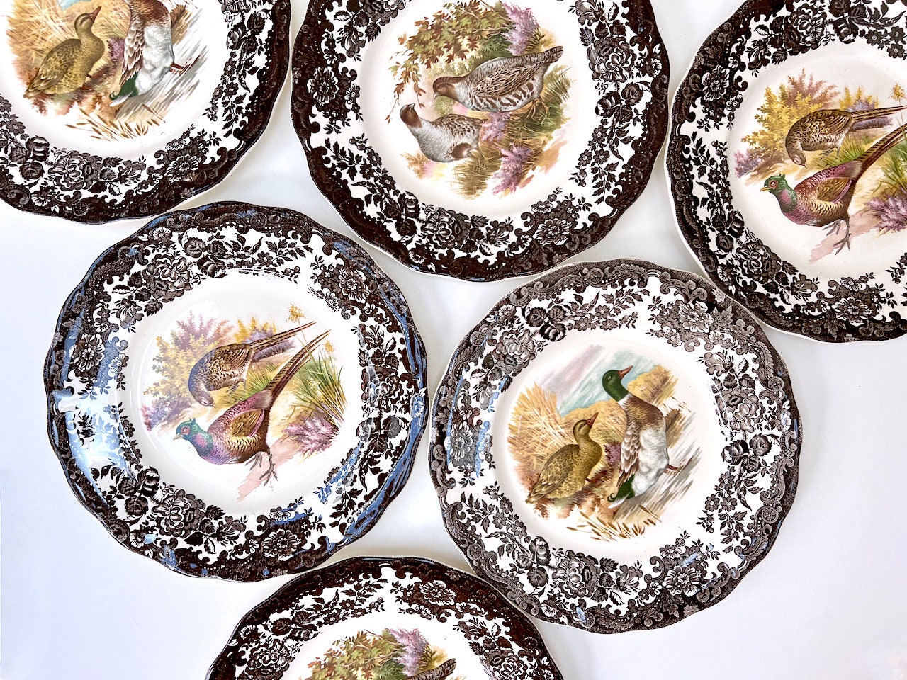 PALISSY POTTERY イングランド　ヴィンテージ食器プレート6枚セット PALISSY POTTERY ヴィンテージプレート6枚