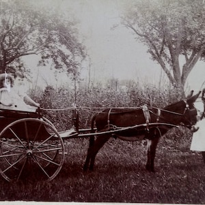Antique art photograph Victorian Memorabilia White Plains NY Highlands Holiday Donkey cart travel 19th c nostalgia bucolic serene FREE range
