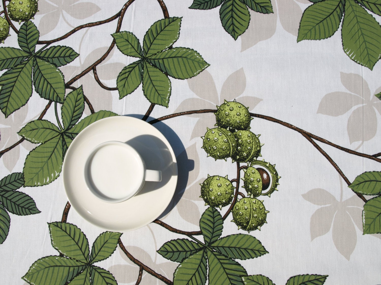 Tablecloth White Green Chestnuts On Tree Fall Nature