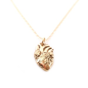 Anatomical Heart Charm Necklace - 14k Gold Fill Necklace - Simple Jewelry - Dainty Necklace - Gold Fill Jewelry - Heart Necklace