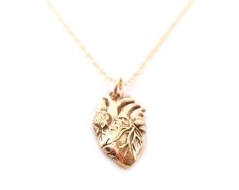 Anatomical Heart Charm Necklace - 14k Gold Fill Necklace - Simple Jewelry - Dainty Necklace - Gold Fill Jewelry - Heart Necklace