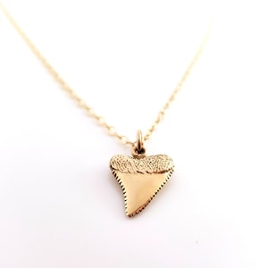 Shark Tooth Charm Necklace - Dainty 14k Gold Filled Jewelry - Gift for Her