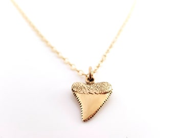 Shark Tooth Charm Necklace - Dainty 14k Gold Filled Jewelry - Gift for Her