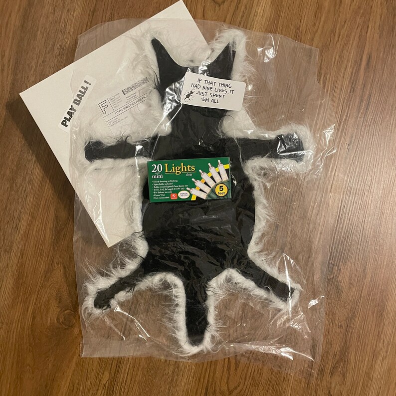 Christmas Vacation Gag Gift Fried Cat Rug National Lampoons Etsy