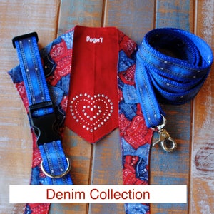 Denim Collection Dog Collar/Leash with Coordinating Bandana