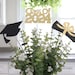 see more listings in the Graduation Decorations section