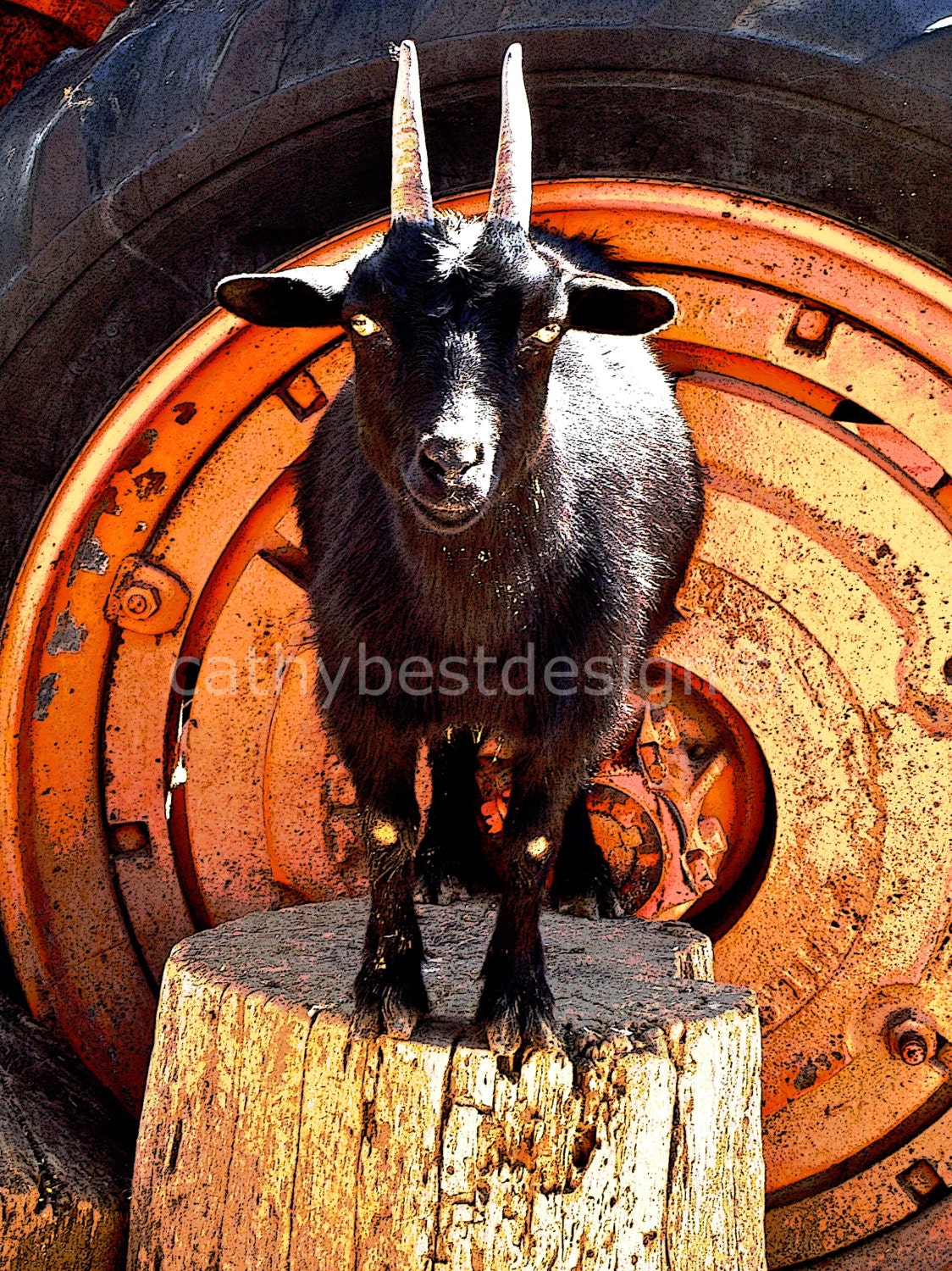 Goat and Tractor Tire Fun Photograph Goat Wall Art Etsy