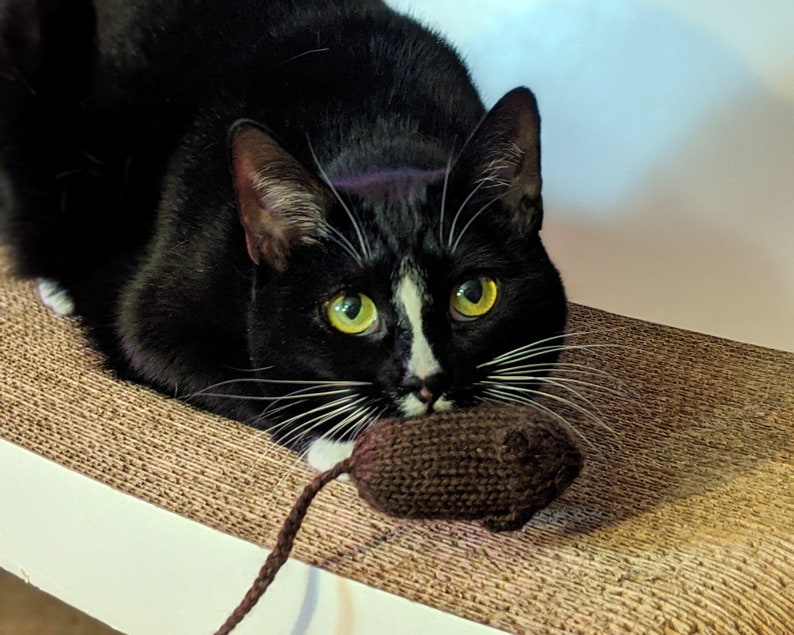 Organic Catnip Mouse With Silver Vine Hand Knit Cat Toy 100 Etsy