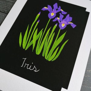 Chalkboard Iris fine art giclée print image 2