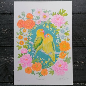 Lovebirds A4 risograph print neon fluorescent pink