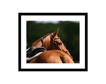 馬1、馬のアート、写真プリント、馬のアート、乗馬、室内装飾