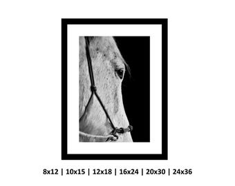 馬のポートレート写真プリント、白黒写真、壁アート、室内装飾、馬のアート