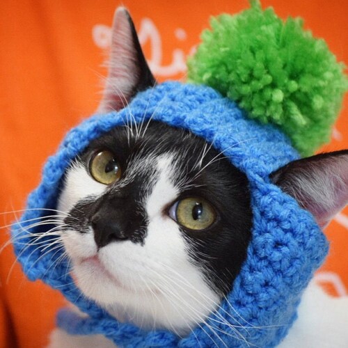 MADE TO ORDER Sunflower Cat Hat Hats for Cats Clothes for Etsy