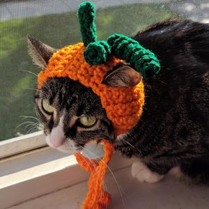 Pumpkin Cat Hat Crochet Pattern PDF