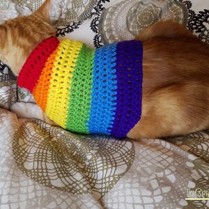 rainbow cat sweater