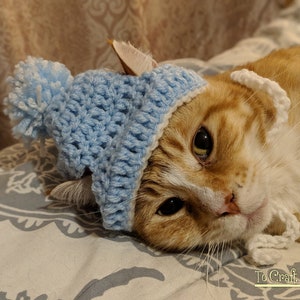 MADE TO ORDER Cat Hat with Pom Pom-Stocking Cat Hat-Cat Hat-Winter Cat Hat