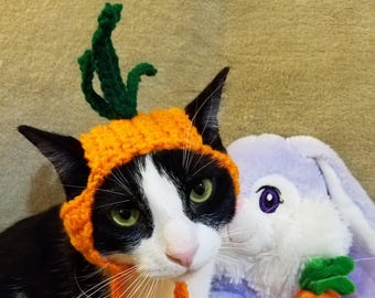 PDF ONLY Carrot Cat Hat Crochet Pattern