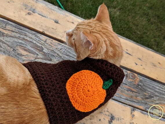 halloween cat sweater