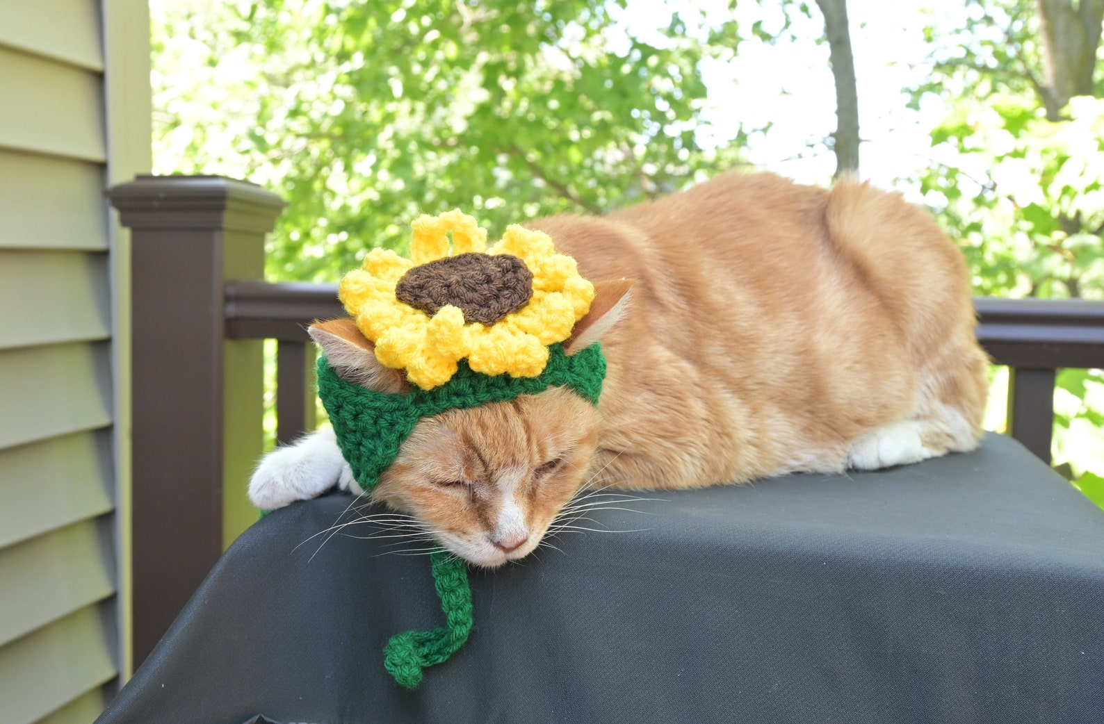 MADE TO ORDER Sunflower Cat Hat Hats for Cats Clothes for Cats Etsy