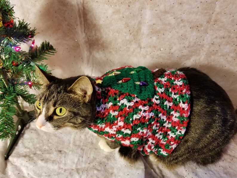 cat holiday sweater