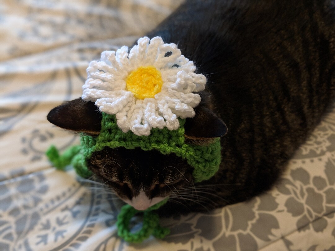 MADE TO ORDER Daisy Cat Hatcat Hatsflower Cat Hatspring Cat Hat Etsy