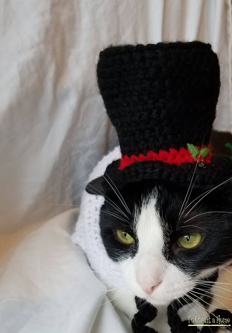 Snowman Cat Outfit Snowman Cat Sweater Holiday Cat Sweater | Etsy