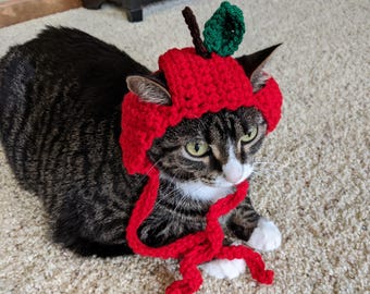 PDF ONLY Apple Cat Hat Crochet Pattern
