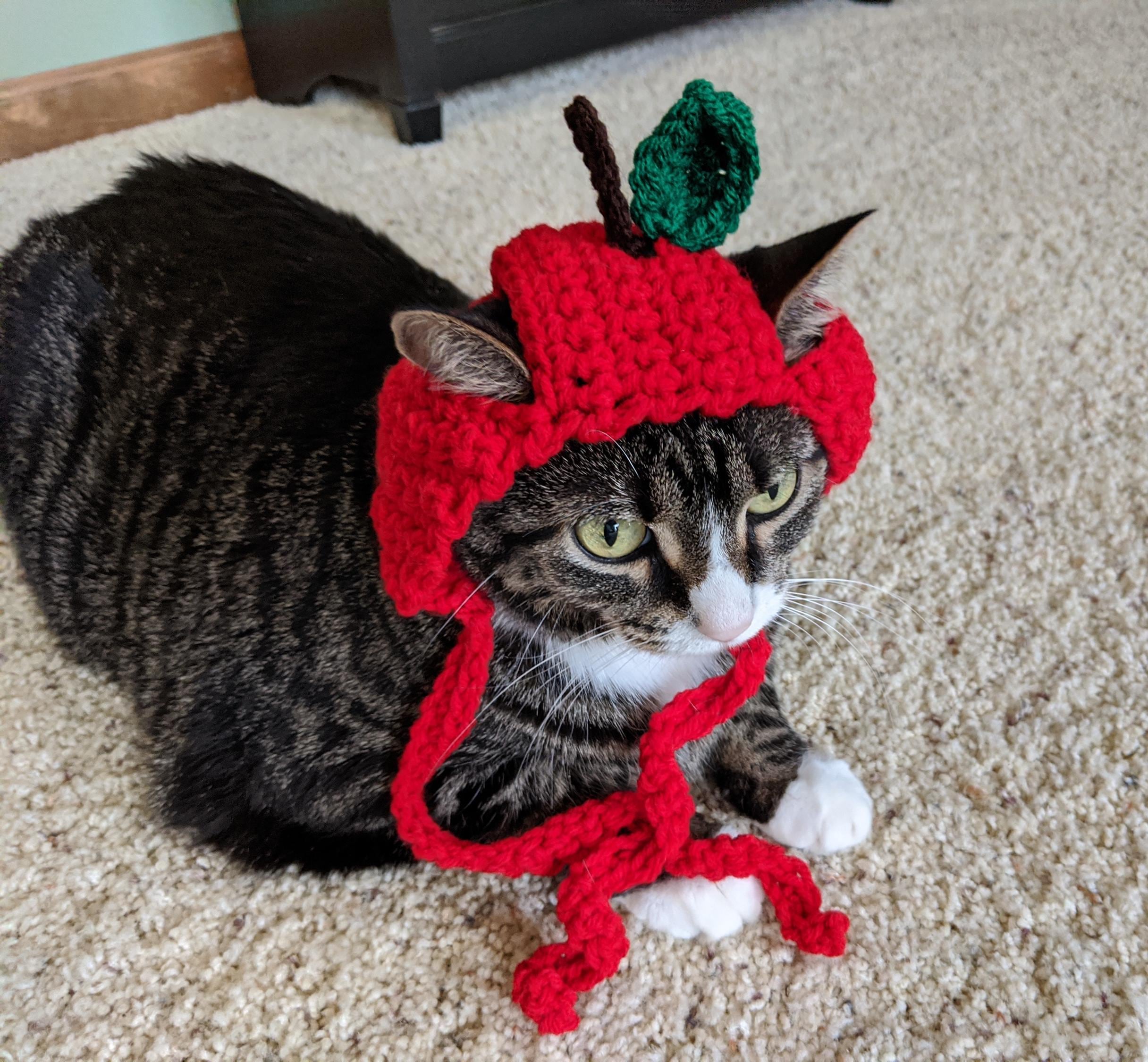 36 Cat Hat Crochet Patterns for Cozy, Costume, and Playful Crochet Projects 31 Only Apple Cat Hat Crochet