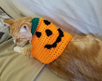 Crochet Pumpkin Cat Sweater Pattern PDF