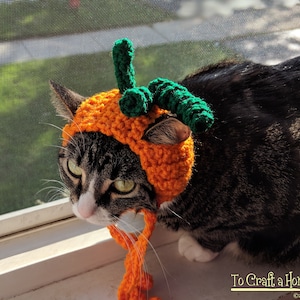 MADE TO ORDER Pumpkin Cat Hat-Cat Hats- Hats for Cats- Pumpkin Cat- Halloween Cat- Costumes for Cats- Clothes for Cats
