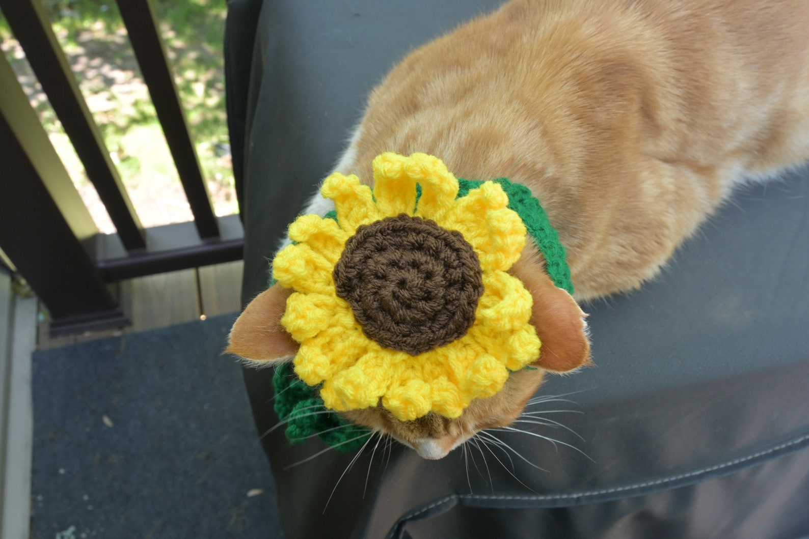 READY TO SHIP Sunflower Cat Hat Hats for Cats Clothes for Etsy