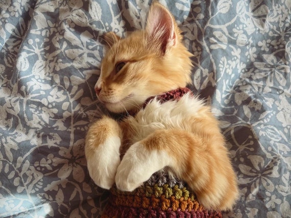 Crochet kitten sweater best sale