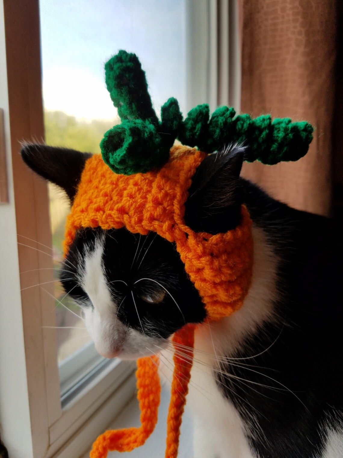 Ready To Ship Pumpkin Cat Hat Cat Hats Hats For Cats Pumpkin Etsy