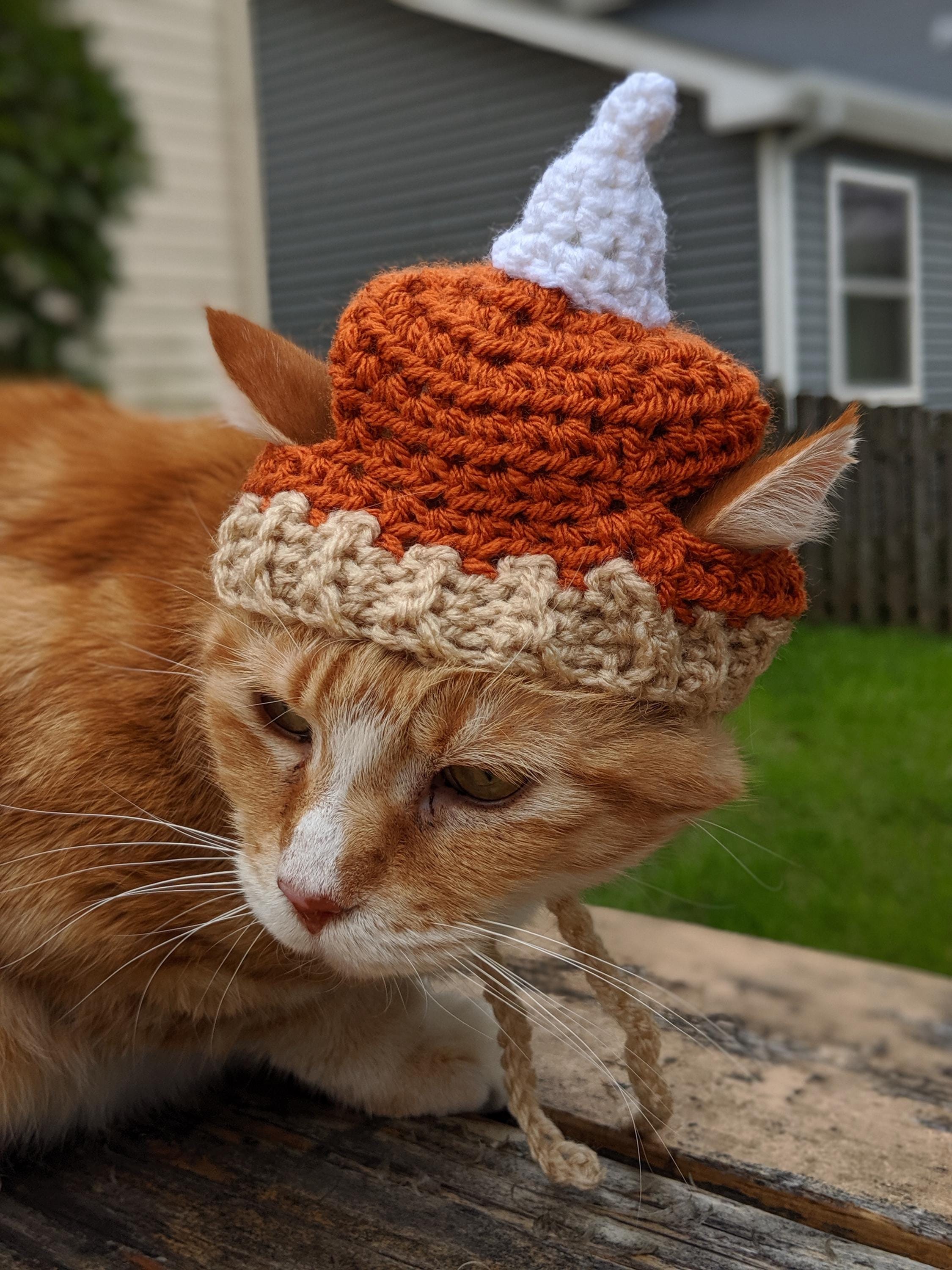 36 Cat Hat Crochet Patterns for Cozy, Costume, and Playful Crochet Projects 12 Pumpkin Pie Cat Hat