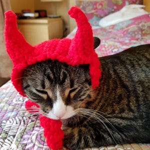 Könnte beinhalten: Eine getigerte Katze mit einem leuchtend roten gehäkelten Teufelshornhut und passendem Halsteil. Die Katze liegt auf einer gemusterten Tagesdecke, die Augen geschlossen. Der Hut hat zwei gebogene Hörner und ein kleines schwarzes Ohr.