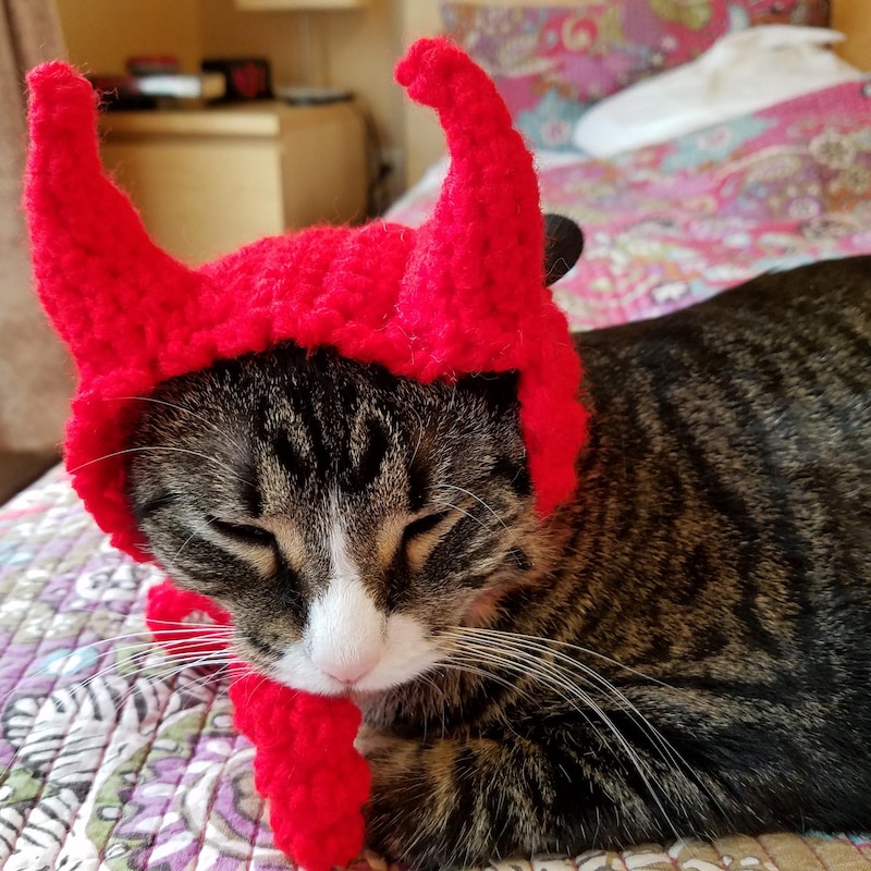 Devil Cat Hat Crochet - Etsy UK