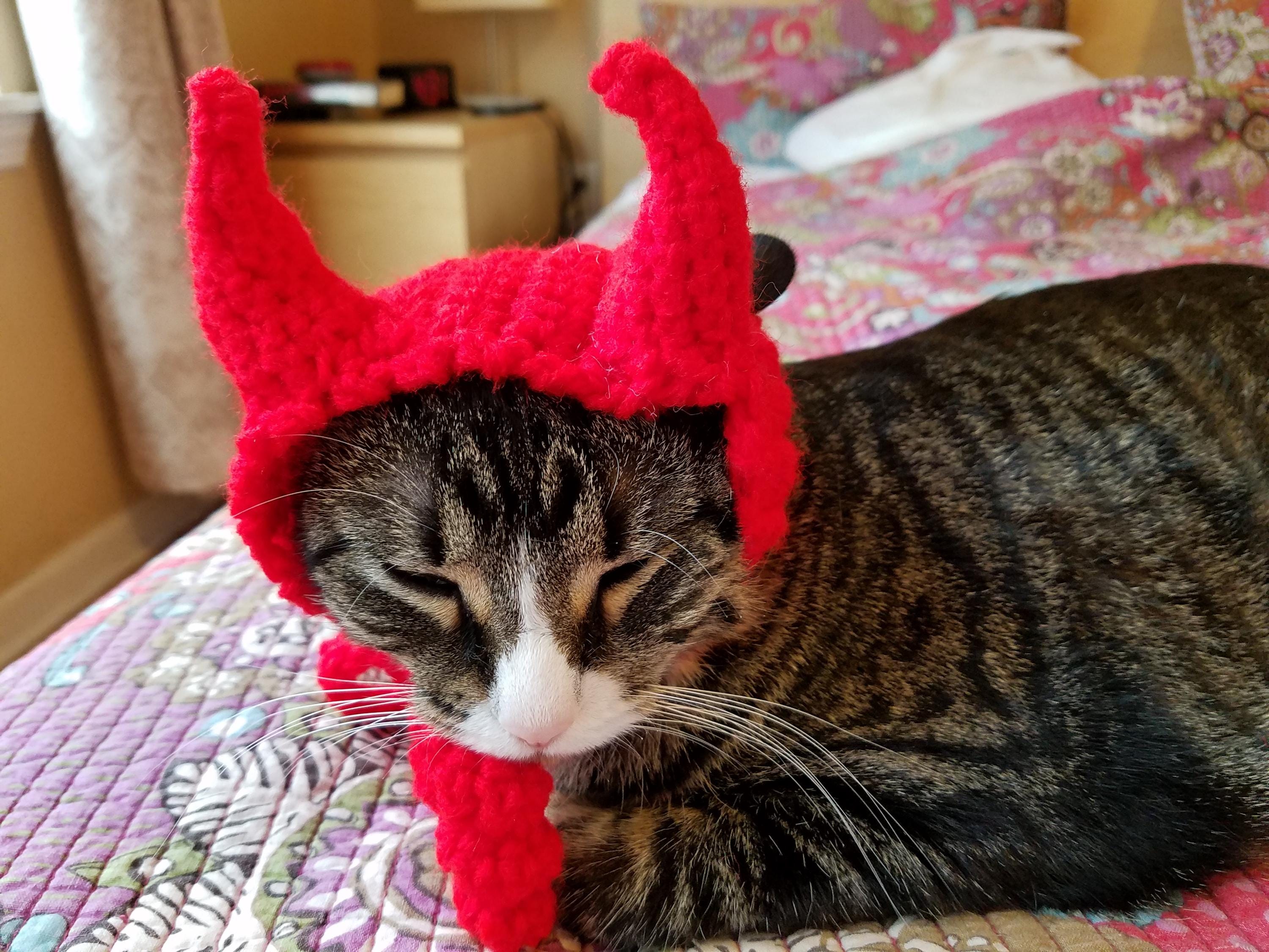 36 Cat Hat Crochet Patterns for Cozy, Costume, and Playful Crochet Projects 11 Devil Cat Hat
