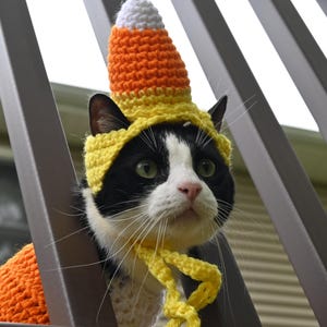Crochet Candy Corn Cat Costume PDF Pattern Hat and Sweater Set - Etsy