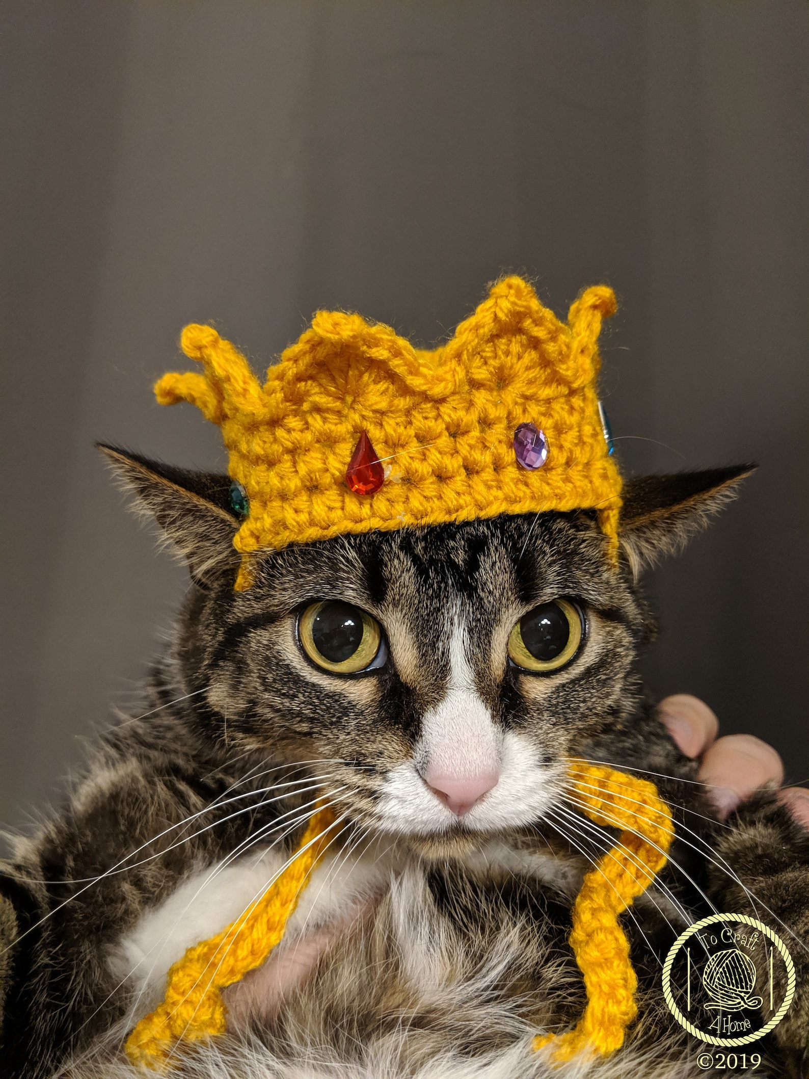 MADE TO ORDER Cat Crown-royal Cat-king Cat Crown-royal Cat - Etsy 