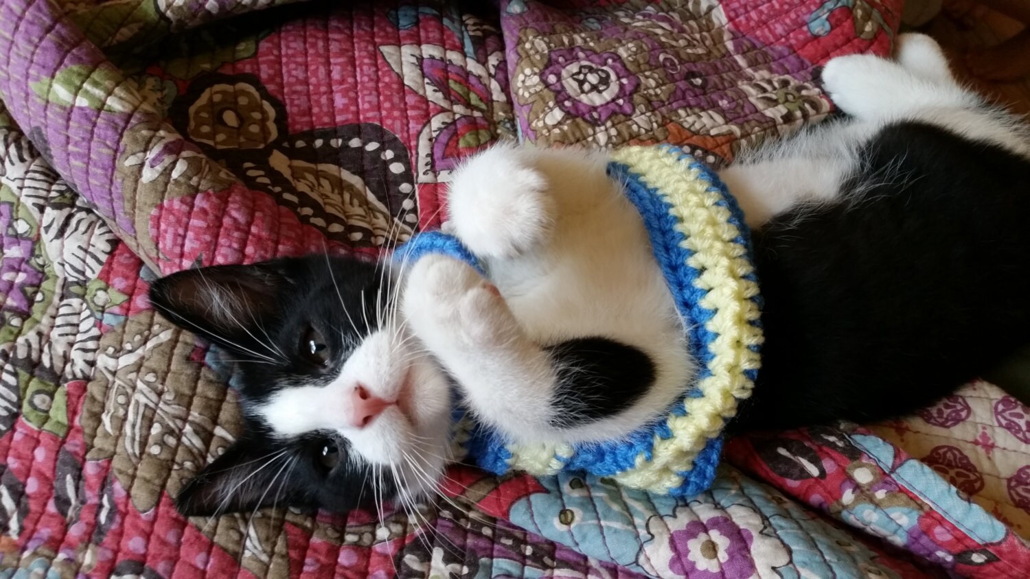 MADE TO ORDER Crochet Kitten Sweater Sweaters for Cats | Etsy