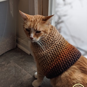 Luxury Cat Clothes  Designer Cat Clothes, Trendy Cat Clothes