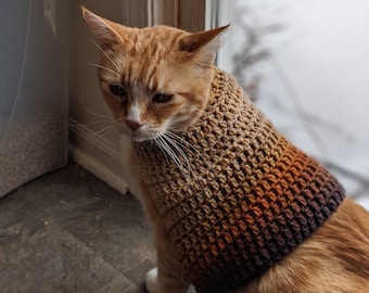 Könnte beinhalten: Eine orangefarbene Tabby-Katze trägt einen gehäkelten Pullover mit einem Farbverlauf aus Braun-, Orange- und Lilatönen. Die Katze sitzt in der Nähe eines Fensters, mit einem Logo in der unteren rechten Ecke.