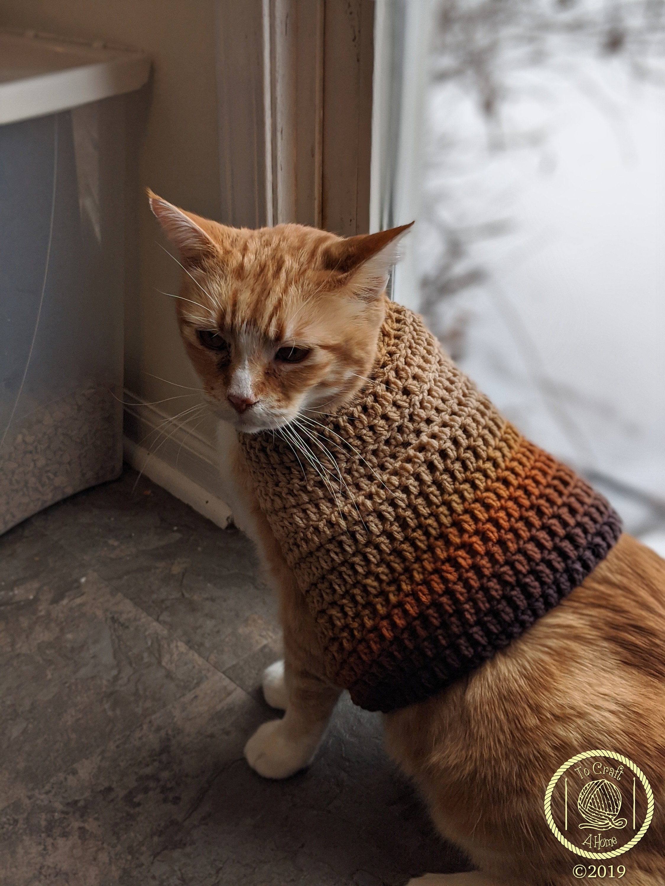 College-Style Sweater for Cat  Get Your Cat Ready for School